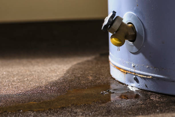 Best Professional water damage repair  in Bunker Hill, OR