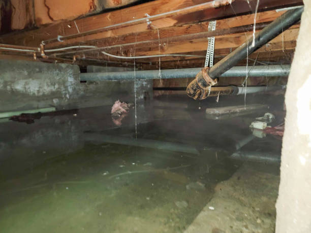 Best Water damage cleanup near me  in Bunker Hill, OR