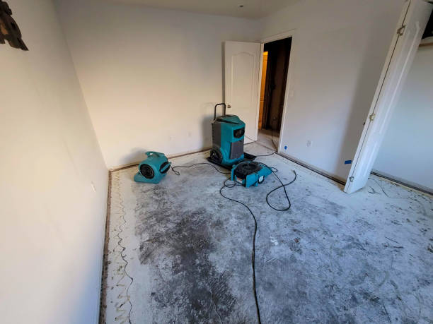 Trusted Bunker Hill, OR Water damage restoration Experts