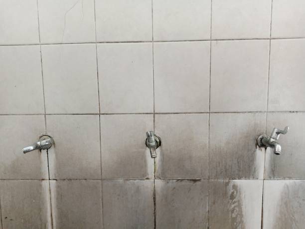 Best Mold removal after water damage  in Bunker Hill, OR