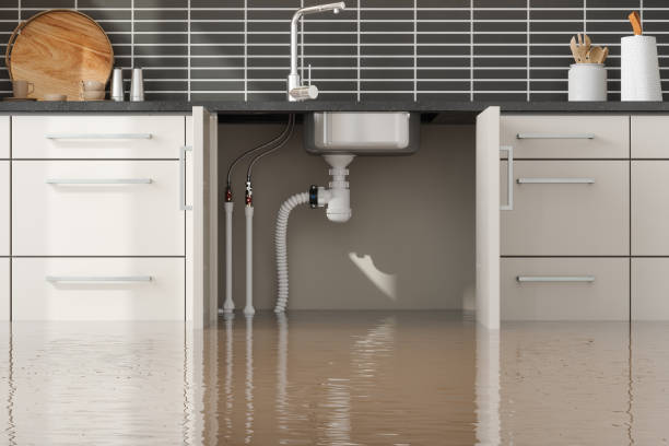 Best Flood damage cleanup  in Bunker Hill, OR