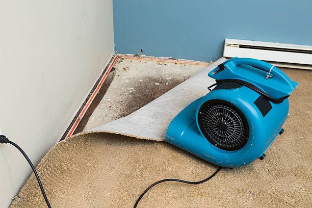 Best Water damage restoration near me  in Bunker Hill, OR